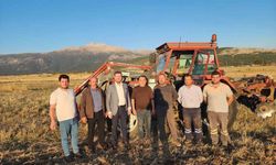 Tavas Belediyesi çiftçiye destek için 480 dekarlık alanda mahsul yetiştirecek