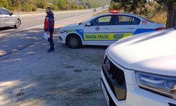 Tavşanlı'da hayvan nakillerine yönelik yol denetimi