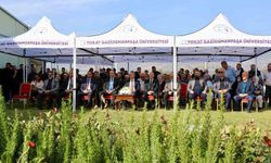 TOGÜ'den Tokat'ın çiçekçilik potansiyeline destek