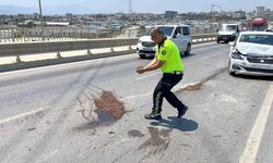 Trafik güvenliğini sağlamak amacıyla yağ dökülen yola avuçlarıyla kum taşıyan polis takdir topladı