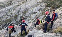 Tunceli'de kayalıklarda mahsur kalan keçileri AFAD kurtardı