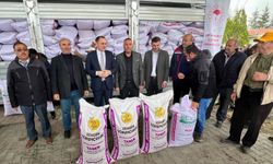 Üreticilere yüzde 50 hibeli toplam 56 ton buğday tohumu dağıtıldı