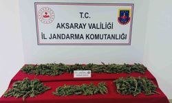 Uyuşturucu imal ve ticaretine jandarma darbesi: 3 tutuklama