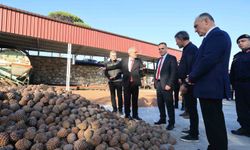 Vali Akbıyık, künar üreticilerinin taleplerini dinledi