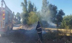 Van'da örtü yangını