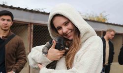 Yabancı öğrenciler ilk kez kangal gördü, hayranlığını gizleyemedi