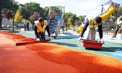 Yıldırım'da parklara kış bakımı