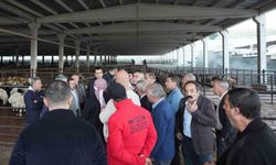 Yılmaz'dan et müjdesi