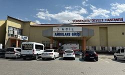 Yüksekova'ya atanan 4 hekim göreve başladı