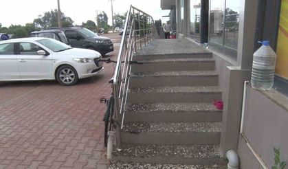 Antalya'da yabancı uyruklu şahıs kedinin üzerine bastı, köpeği tekmeledi