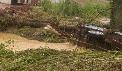 Tekirdağ'da sağanak sonrası 5 ila 6 bin dekarlık alanda hasar oluştu