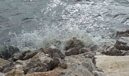 Van Gölü'nde şiddetli rüzgar dalgaları coşturdu