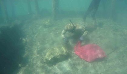 Deniz dibi temizliği Gümüşlük'te devam etti