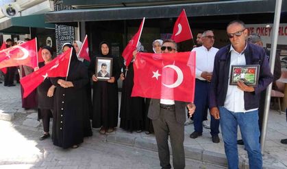 Vanlı ailelerin evlat nöbeti 120'nci haftasında sürüyor