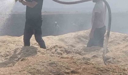 Bingöl'de arazi yangını: 2 bin dönüm arazi zarar gördü