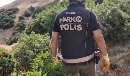 Bingöl'de uyuşturucu operasyonu: 3 şüpheli tutuklandı