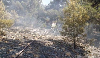 Denizli'de orman yangını hızlı müdahaleyle kontrol altına alındı