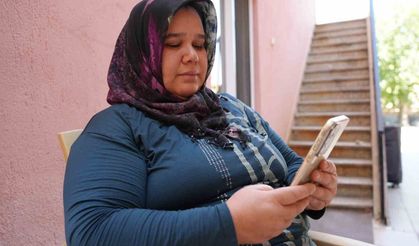 Denizli'de sokak hayvanlarının zehirlenerek öldürüldüğü iddiası