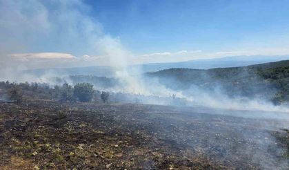 Kastamonu'da çıkan orman yangını kontrol altına alındı