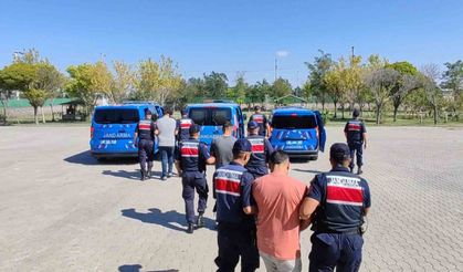 Köpekleri dövüştürüp sosyal medyada paylaştılar, jandarma ekiplerince operasyonla yakalandılar