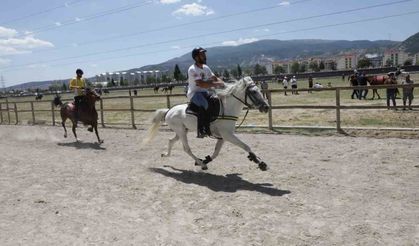 Kütahya'da Rahvan At Yarışları nefes kesti: 43 ilden 130'un üzerinde at şampiyonluk için koştu