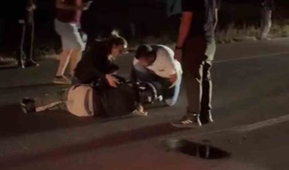 Avrupa turuna çıkan Fransız turist, koyunlara çarptı: 3 koyun telef oldu