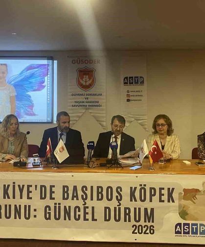 Başıboş köpek mağdurları panelde buluştu