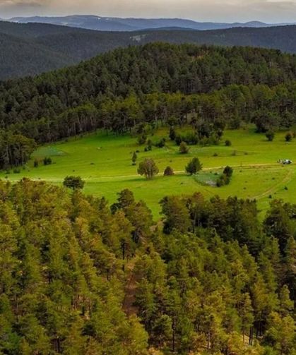 Yozgat Ormanları İçin 7/24 Yangın Nöbeti