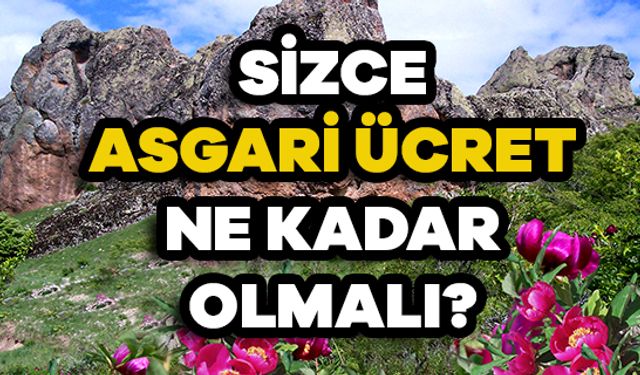 Yozgat'ta “Sizce Asgari Ücret Ne Kadar Olmalı?” Diye Sorduk