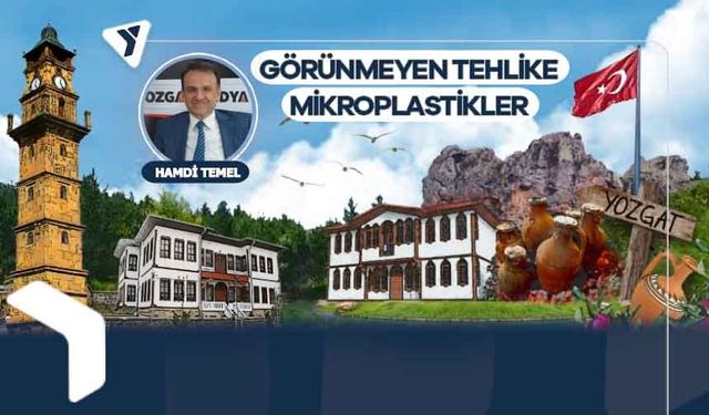 Hamdi Temel | Görünmeyen tehlike mikroplastikler