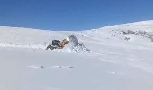 3 metreyi bulan karda yol açma çalışması