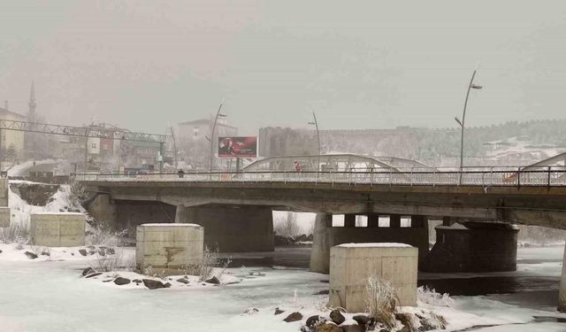 Ardahan’da dondurucu soğuk: Ağaçlar kırağı tuttu