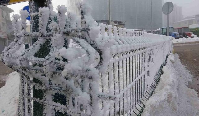 Ardahan’da dondurucu soğuklar hayatı durma noktasına getirdi