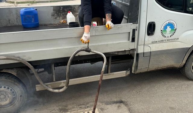 Bartın’da ilaçlama çalışmaları başladı