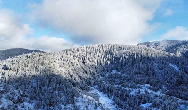 Beyaza bürünen Ilgaz Dağı’nın eteklerindeki yaylalarda kartpostallık görüntüler ortaya çıktı