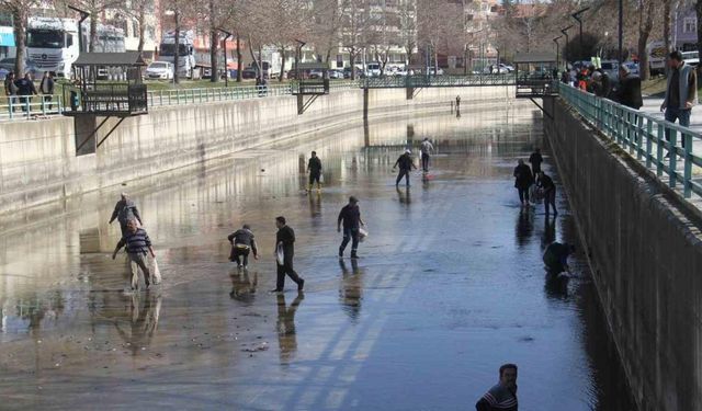 Beyşehir Gölü’nden kanala dökülen balıkları toplamak için birbirleriyle yarıştılar