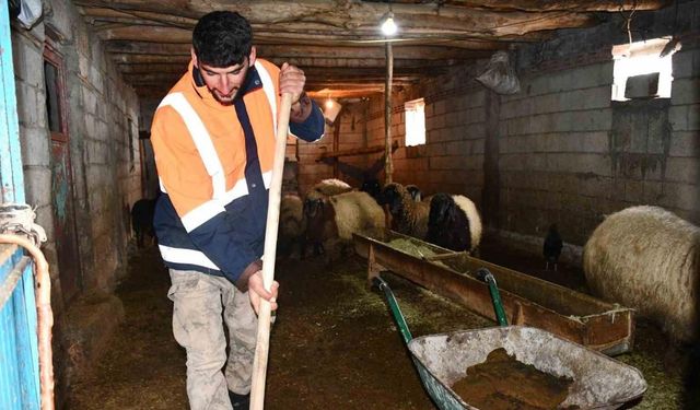 Beytüşşebap’ta besicilerin zorlu kış mesaisi sürüyor