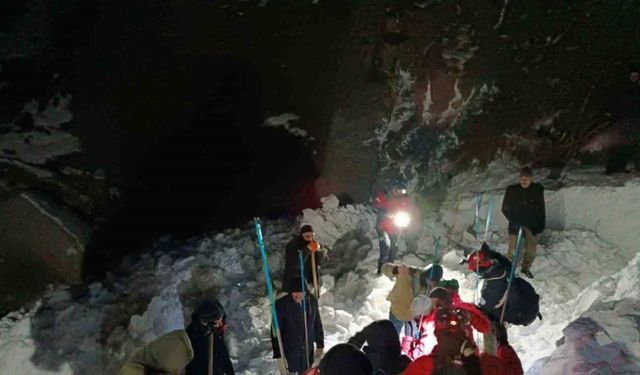 Bingöl’de çığ düştü: Çığ altında kaldığı düşünülen 1 kişi aranıyor