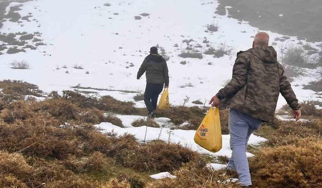 Bingöl’de yaban hayvanları için yemleme çalışması sürüyor