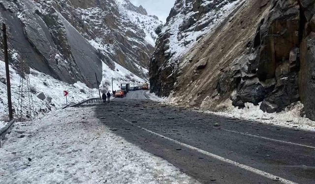 Hakkari-Van kara yoluna kaya düştü