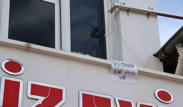 Kedi için balkonuna ekmek atanları yazı asıp uyardı: "Kedinin yemi, suyu var"