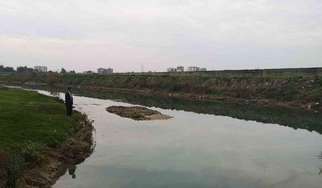 Kırmızı akan Berdan Nehri normale döndü