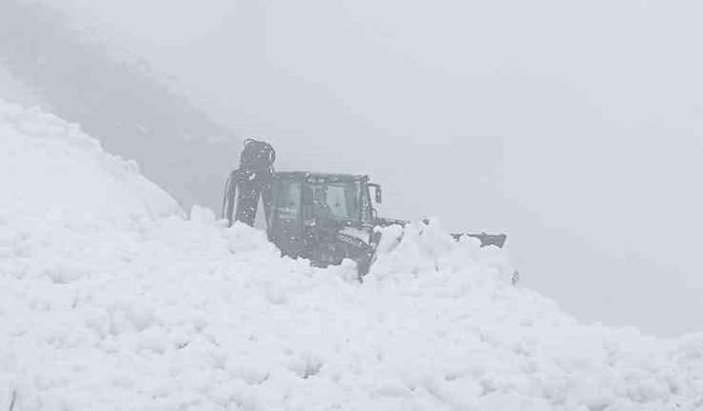 Şırnak’ta çığ nedeniyle kapanan yol ulaşıma açıldı