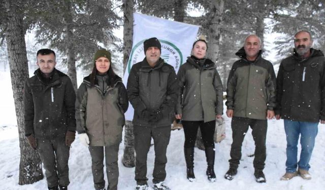 Şırnak’ta yaban hayvanları unutulmadı, doğaya yem bırakıldı