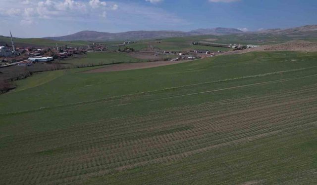 Toprağı susuz kalan çiftçi gözünü Nisan yağmurlarına dikti