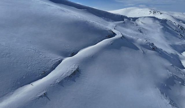 Uzungöl’ün zirvelerinde dronla tilkiyi saniye saniye takip etti