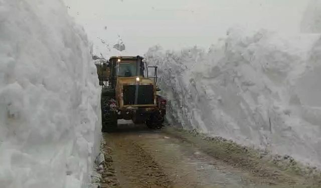 Yüksekova’da 5 metrelik kar tünelinde çalışma