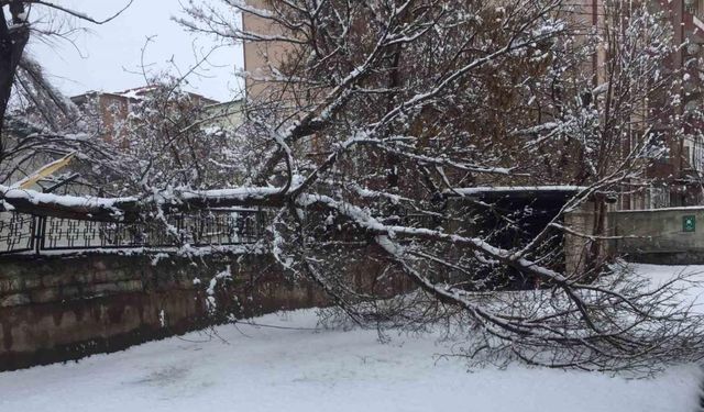 Ağrı’da bahar havası yerini kara bıraktı