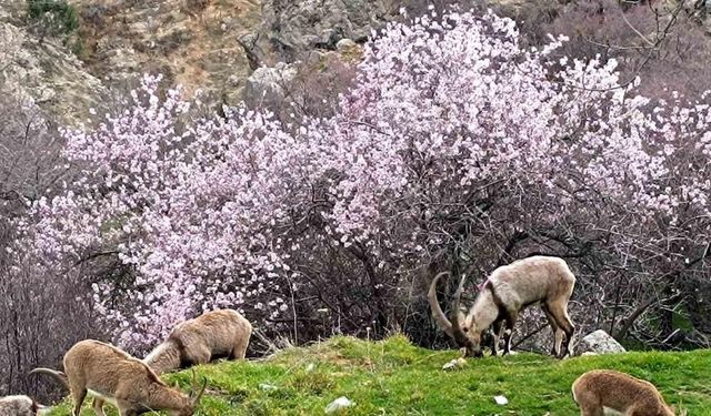 Aynı il iki farklı mevsim