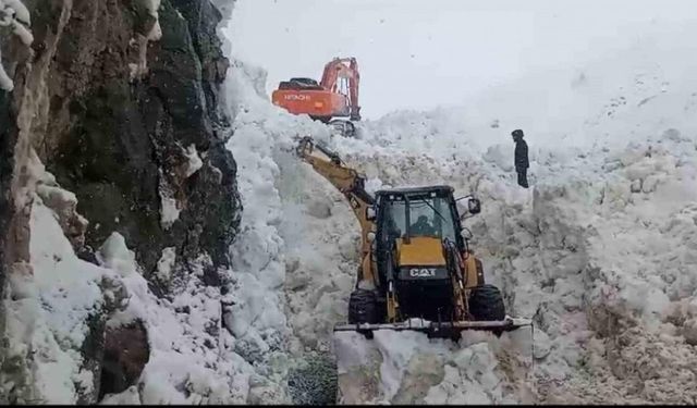 Beytüşşebap’ta yaylada kalan ailelerin karla kaplı yolunu açma çalışmaları sürüyor